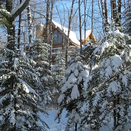 Blueberry Lake Resort Labelle Buitenkant foto