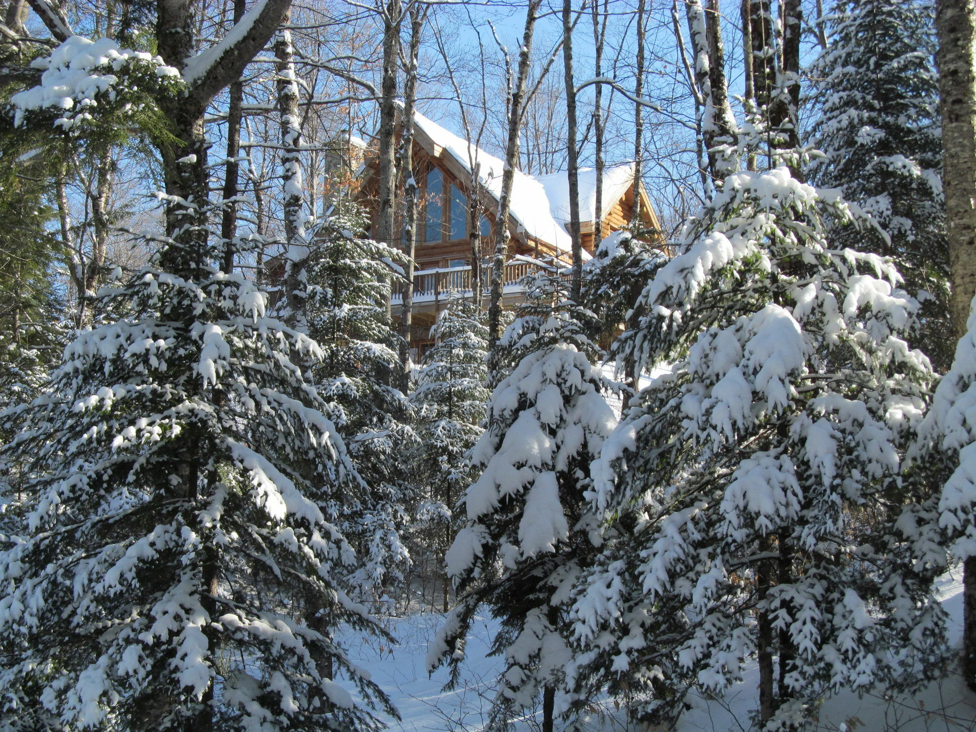 Blueberry Lake Resort Labelle Buitenkant foto